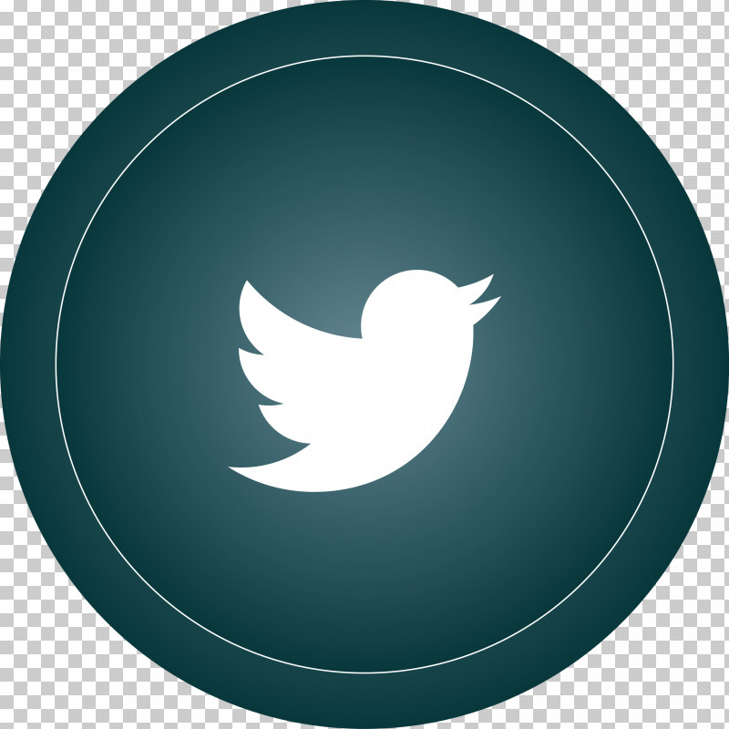 Twitter PNG, Clipart, Blog, Company, Internet, Kelvin, Like Button Free PNG Download