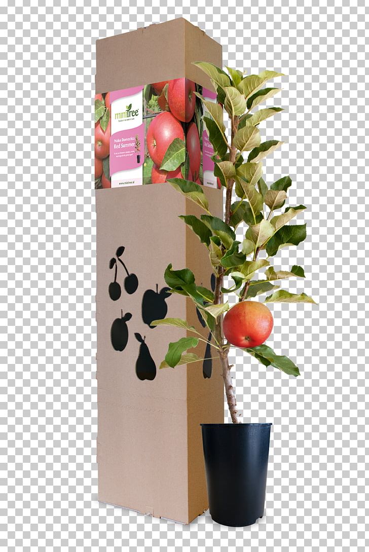 Blossom Apple Sauce Fruit Muesli PNG, Clipart, Apple, Apple Sauce, Blossom, Flower, Flowerpot Free PNG Download