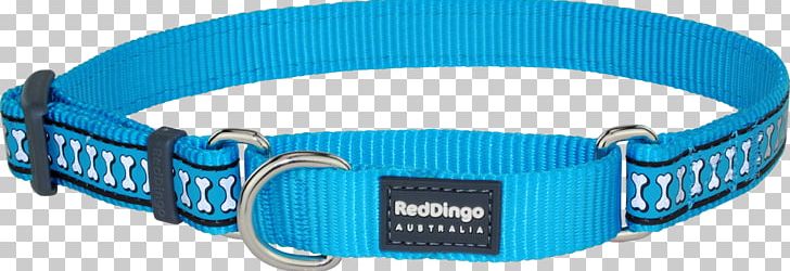 Dingo Dog Collar Martingale PNG, Clipart, Aqua, Blue, Bones, Collar, Dingo Free PNG Download