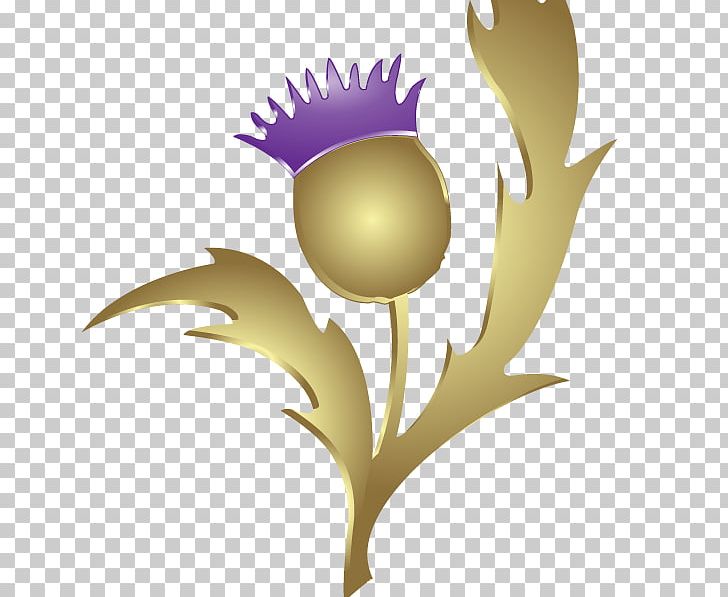 Thistle Gleneagles Scottish Gaelic Flag Of Scotland Raster Graphics PNG, Clipart, Branch, Computer Wallpaper, Flag Of Scotland, Flower, Flowering Plant Free PNG Download