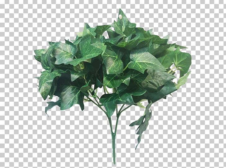 Capsicum Annuum Leaf Vegetable Plant Stem Lettuce PNG, Clipart, Annual Plant, Capsicum Annuum, Cauliflower, Flowerpot, Food Free PNG Download