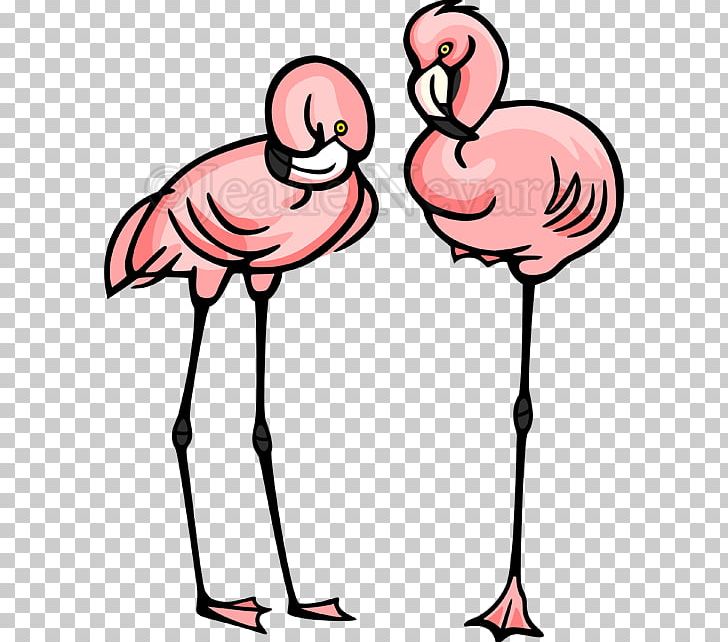 Animals Photography Greater Flamingo PNG, Clipart, Animals, Artwork, Beak, Bird, Can Stock Photo Free PNG Download