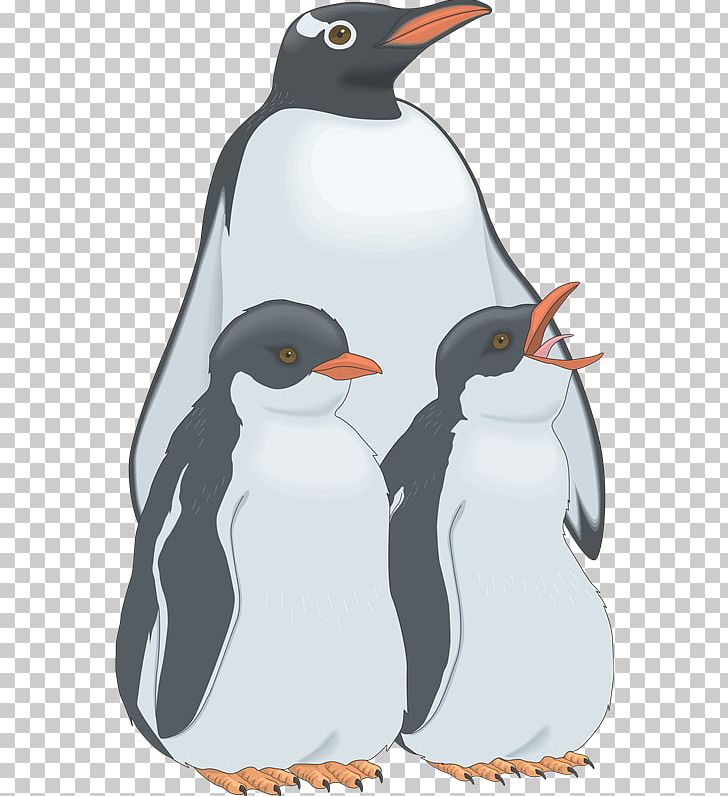 Penguin PNG, Clipart, Aves, Beak, Bird, Child, Computer Icons Free PNG Download