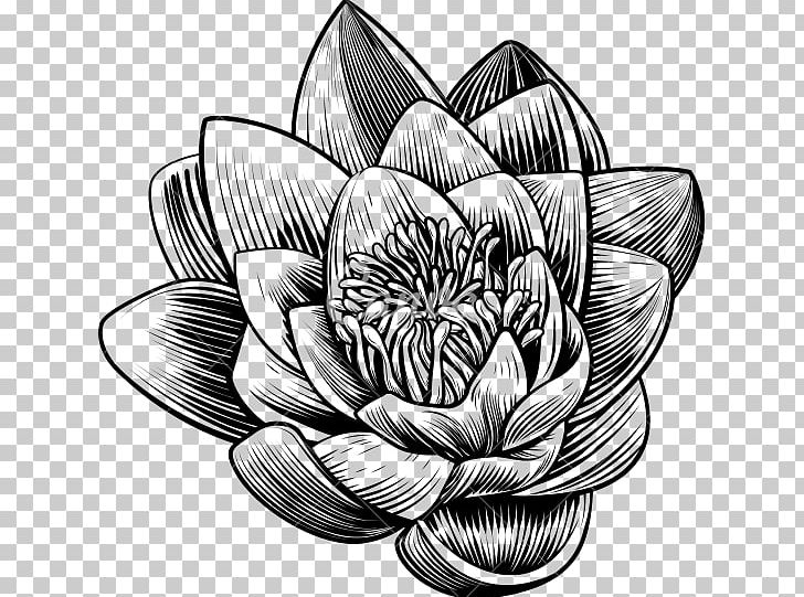 Woodcut Stock Photography Flower PNG, Clipart, Black And White, Drawing, Engraving, Etching, Flower Free PNG Download