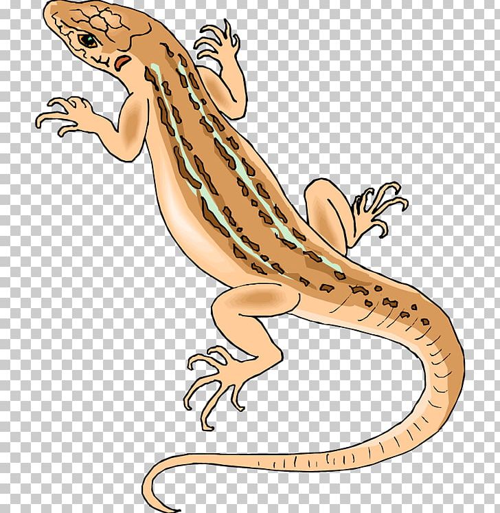 Desert Horned Lizard Common Iguanas Eastern Fence Lizard PNG, Clipart, Animal, Animal Figure, Artwork, Common Iguanas, Desert Free PNG Download