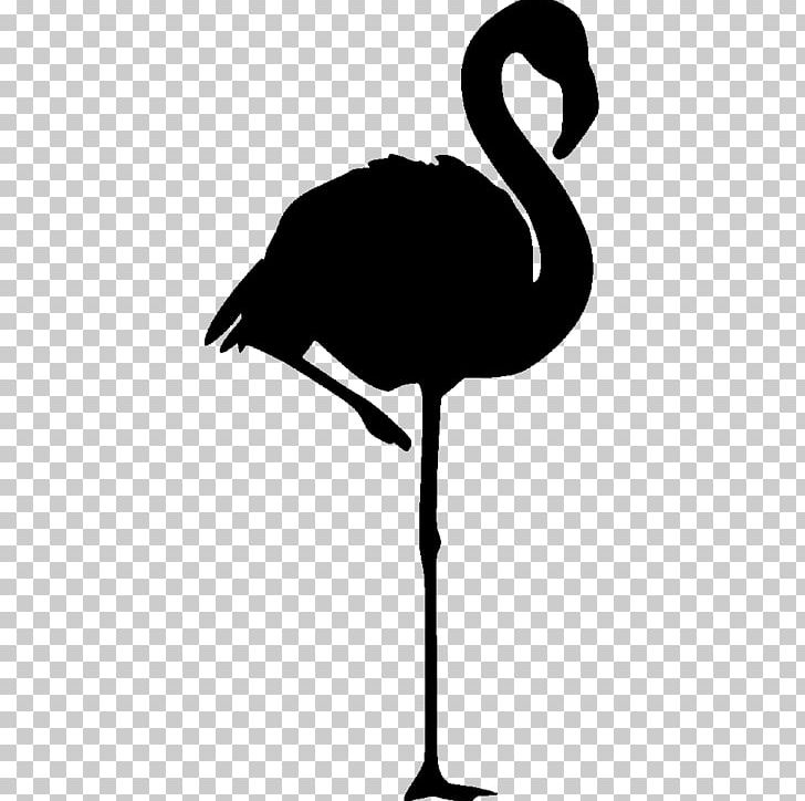 Flamingo Logo Pink PNG, Clipart, Animals, Beak, Bird, Black And White, Clip Art Free PNG Download