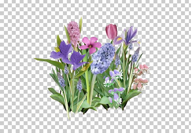 Flower Violet Lavender Lilac Purple PNG, Clipart, Bellflower Family, Color, Cut Flowers, Flower, Flower Bouquet Free PNG Download