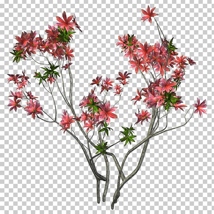 Branch Tree Cut Flowers PNG, Clipart, Branch, Cut Flowers, Drawing, Flora, Floral Design Free PNG Download