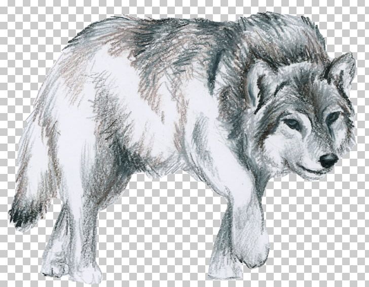Saarloos Wolfdog Native American Indian Dog Canidae Alaskan Tundra Wolf PNG, Clipart, Alaskan Tundra Wolf, Animal, Canidae, Canis, Canis Lupus Tundrarum Free PNG Download
