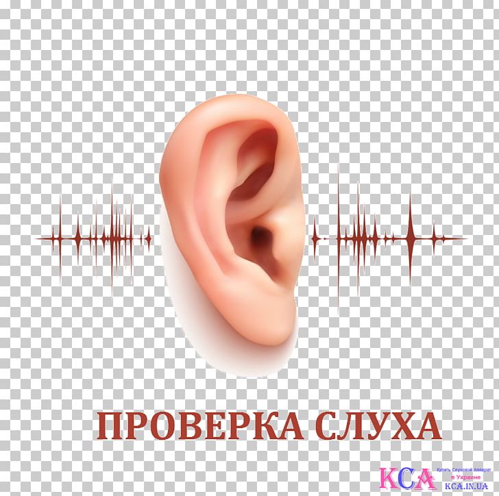 Hearing Chin Jaw Nose PNG, Clipart, Acupuncture, Anda, Body Piercing, Chin, Closeup Free PNG Download
