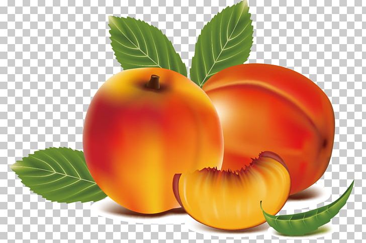 Peach Fruit PNG, Clipart, Apricot, Art, Diet Food, Encapsulated Postscript, Food Free PNG Download
