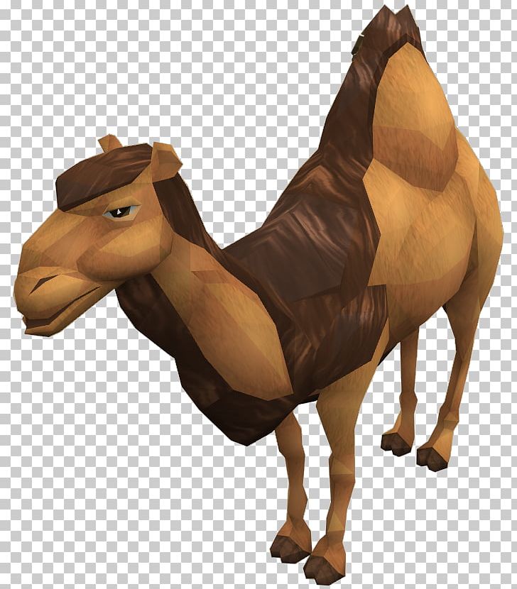 RuneScape Dromedary Horse Pack Animal PNG, Clipart, Animal Figure, Animals, Arabian Camel, Camel, Camel Like Mammal Free PNG Download