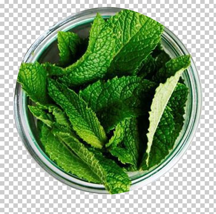 Chutney Tea Peppermint Mentha Spicata Herb PNG, Clipart, Autumn Leaf, Chutney, Drink, Flavor, Food Free PNG Download