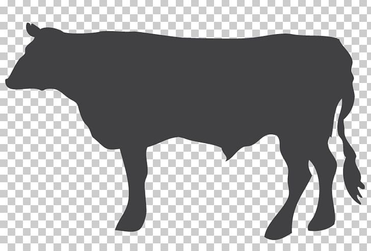 Dairy Cattle Livestock Calf Ox PNG, Clipart, Animals, Beef, Black, Black And White, Bull Free PNG Download