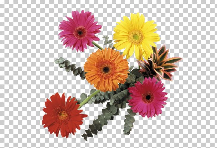 Flower Bouquet Transvaal Daisy Cut Flowers PNG, Clipart, Annual Plant, Blume, Chrysanths, Cut Flowers, Daisy Free PNG Download