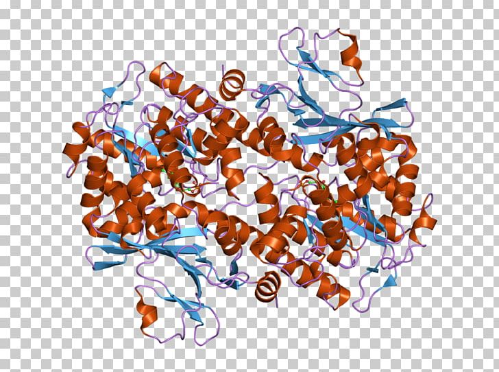 Nicotinamide Phosphoribosyltransferase Art Pre-B-cell Colony Enhancing Factor 1 Enzyme PNG, Clipart, Art, Art Museum, B Cell, Chanel, Cosmetics Free PNG Download