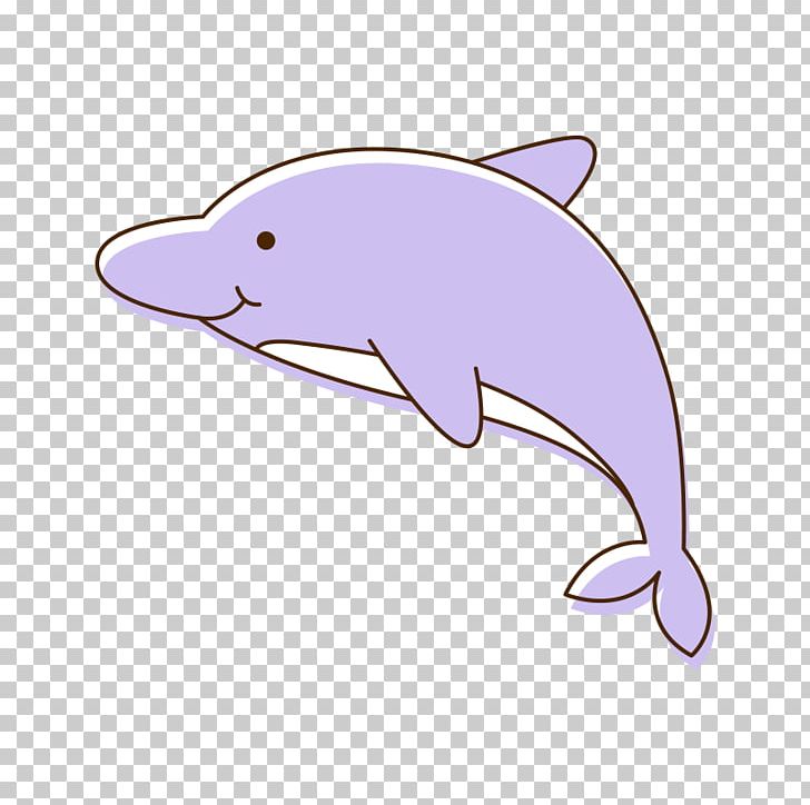 Tucuxi Common Bottlenose Dolphin Cartoon Porpoise PNG, Clipart, Animals, Cartoon, Cartoon Dolphin, Child, Comics Free PNG Download