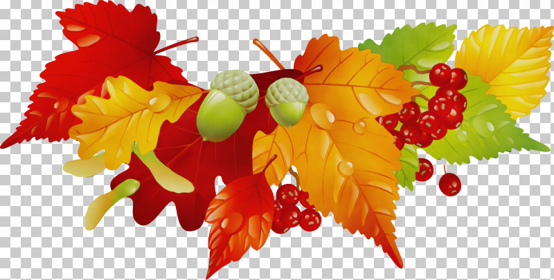 Plane PNG, Clipart, Autumn, Branch, Flower, Fruit, Grape Leaves Free PNG Download