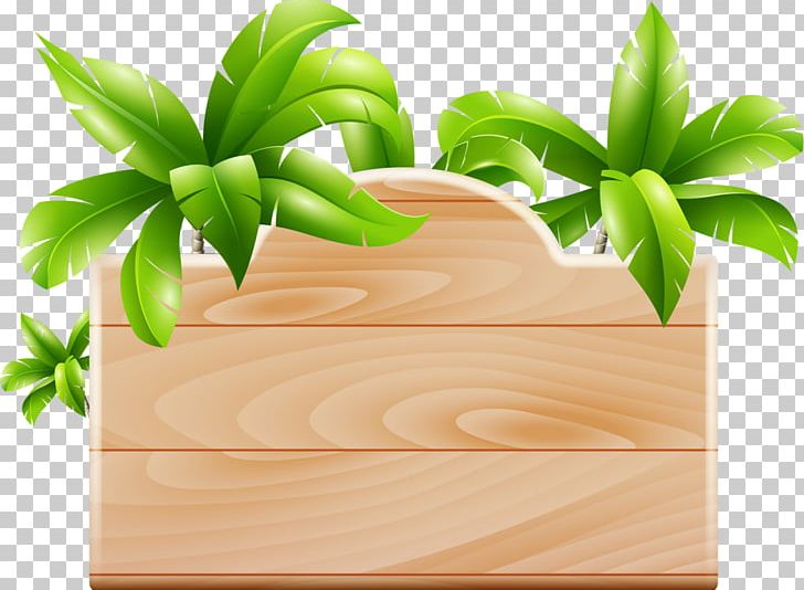 Coconut Arecaceae Encapsulated PostScript PNG, Clipart, Arecaceae, Background, Clip Art, Coconut, Encapsulated Postscript Free PNG Download