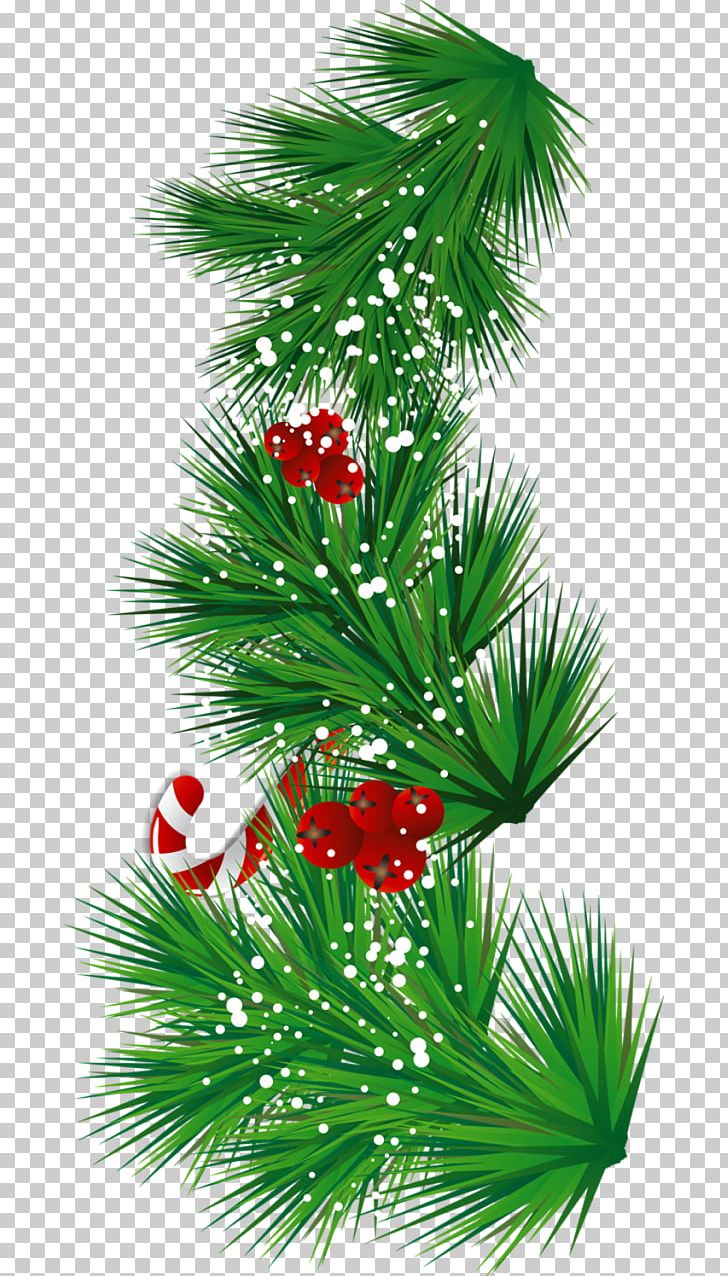 Candy Cane Mistletoe Christmas Can Stock Photo PNG, Clipart, Arecales, Christmas, Christmas Clipart, Christmas Decoration, Christmas Lights Free PNG Download