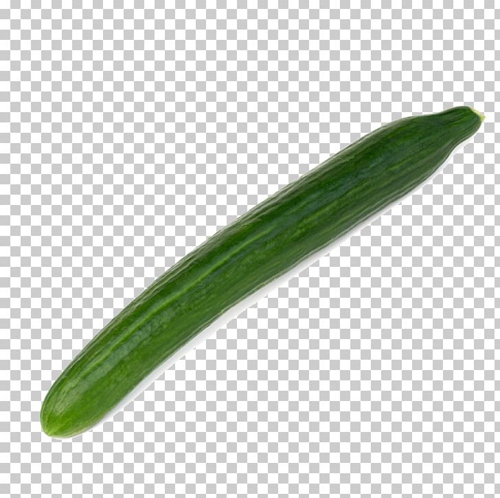 Cucumber PNG, Clipart, Cucumber, Cucumber Cartoon, Cucumber Gourd And Melon Family, Cucumber Juice, Cucumbers Free PNG Download