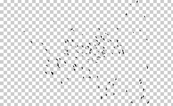 Hummingbird Flock Bird Migration Swallow PNG, Clipart, Animal Migration, Animals, Beak, Bird, Bird Migration Free PNG Download