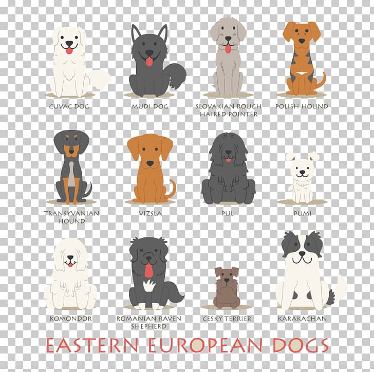 Polish Hound Basset Hound Dachshund Puppy Eastern Europe PNG, Clipart, Animals, Balloon Cartoon, Carnivoran, Cartoon, Cartoon Character Free PNG Download