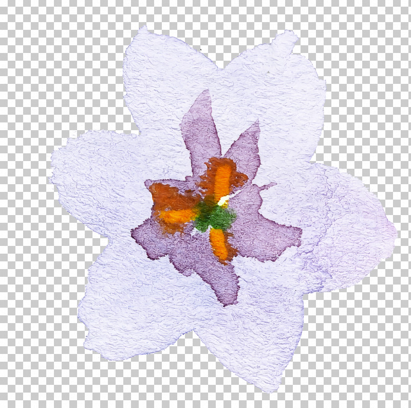 Petal Flower Violet Plant Paper PNG, Clipart, Cattleya, Dendrobium, Flower, Narcissus, Paper Free PNG Download