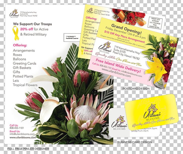 Floral Design Graphic Design Web Design Designer PNG, Clipart, Antsy Ant Web Design, Art, Business Cards, Designer, Floral Design Free PNG Download