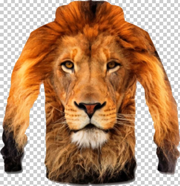 Lion Desktop Wildlife Cat PNG, Clipart, Animals, Big Cats, Carnivoran, Cat, Cat Like Mammal Free PNG Download