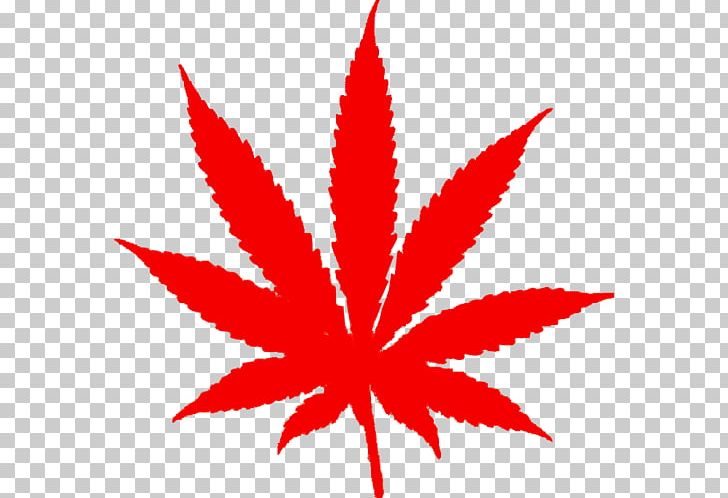 Medical Cannabis Marijuana Legalization Legality Of Cannabis PNG, Clipart, Artwork, Cannabis, Cannabis Sativa, Cannabis Smoking, Flower Free PNG Download