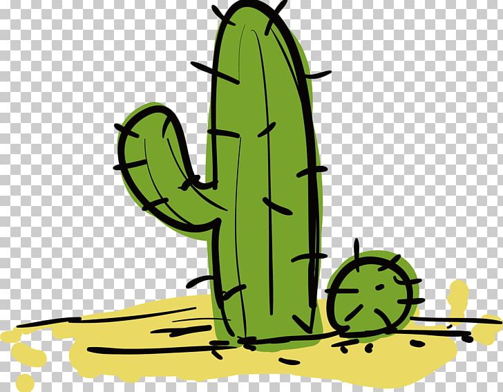 Cactaceae PNG, Clipart, Cactaceae, Cactus, Cactus Vector, Cartoon, Grass Free PNG Download