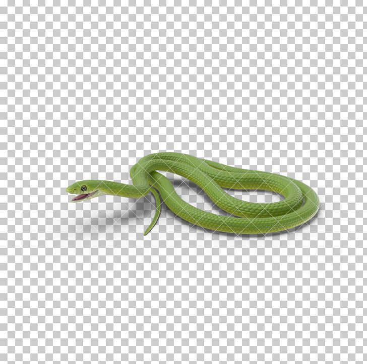 Smooth Green Snake U9577u86c7 PNG, Clipart, Animal, Animals, Anime Character, Anime Girl, Background Green Free PNG Download