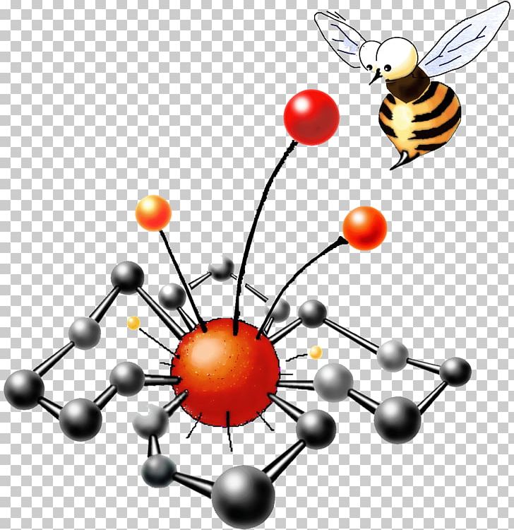 Insect Organic Chemistry Orange S.A. PNG, Clipart, Animals, Chemistry, Insect, Membrane, Membrane Winged Insect Free PNG Download