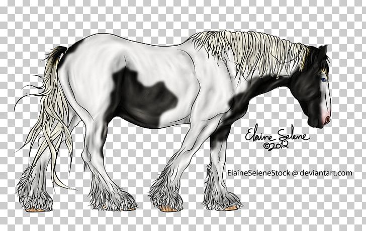 Mustang Foal Stallion Colt Mare PNG, Clipart, Colt, Drawing, Foal, Gypsy Horse, Halter Free PNG Download