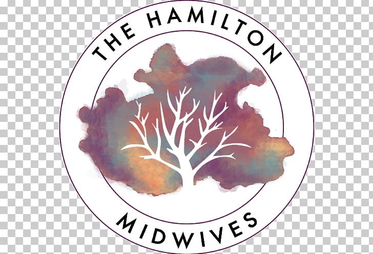 The Hamilton Midwives Childbirth Midwife Health Care PNG, Clipart, Childbirth, Flower, Hamilton, Health, Health Care Free PNG Download