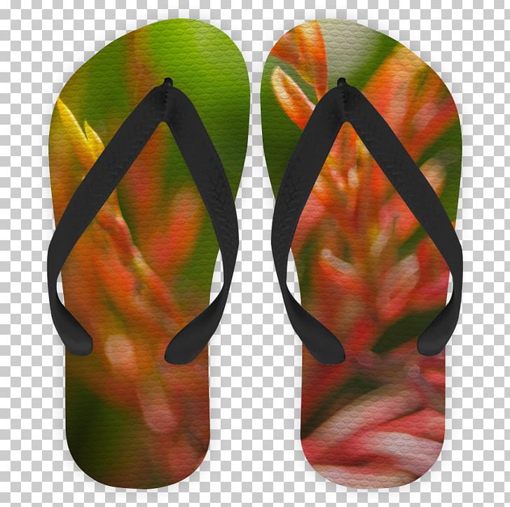Flip-flops Shoe Leaf PNG, Clipart, Flip Flops, Flipflops, Footwear, Leaf, Peacocks Free PNG Download
