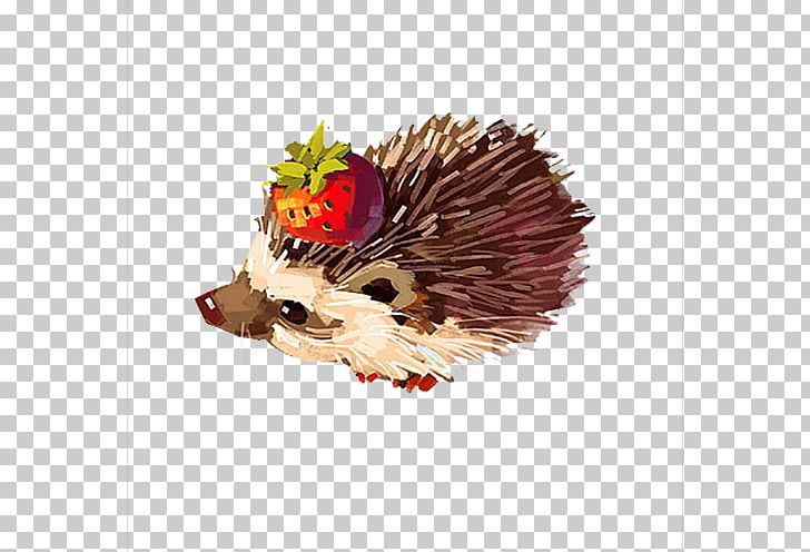 Hedgehog Drawing Art Illustration PNG, Clipart, Animals, Arts, Brown, Cartoon, Child Free PNG Download