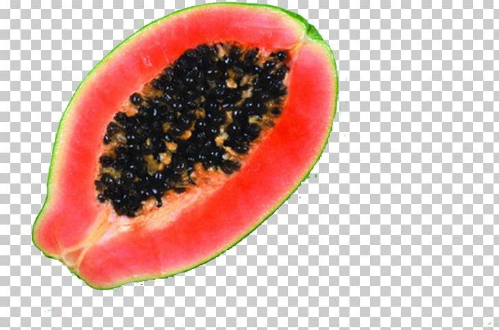 Juice Watermelon Papaya Fruit Bilberry PNG, Clipart, Berry, Bilberry, Carotene, Citrullus, Digestive Enzyme Free PNG Download
