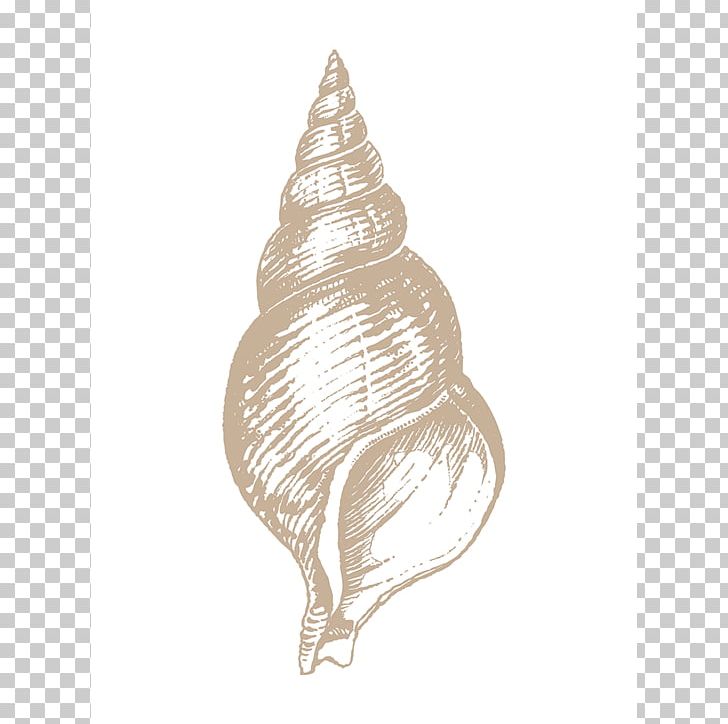 Seashell Conchology Shankha Art PNG, Clipart, Art, Canvas Print, Cockle, Conch, Conchology Free PNG Download