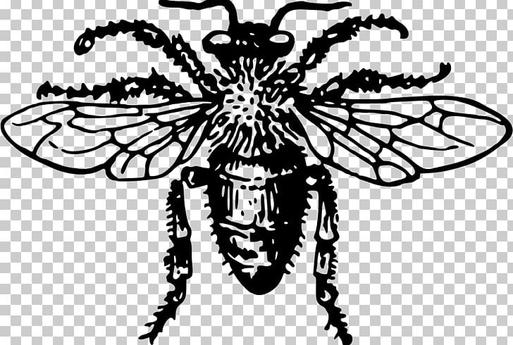 Western Honey Bee Insect PNG, Clipart, Arthropod, Bee, Black And White, Bumblebee, Fictional Character Free PNG Download