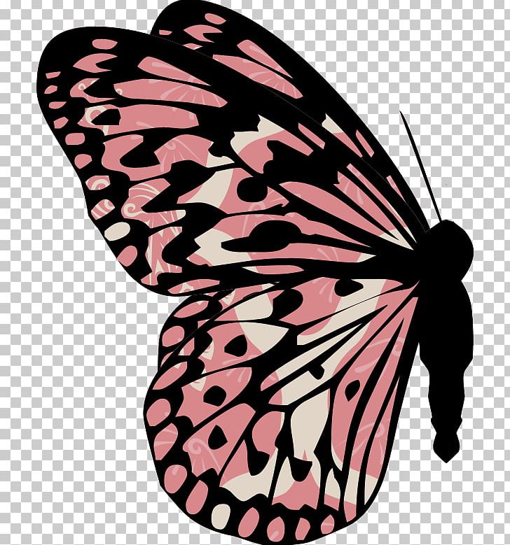 Butterfly PNG, Clipart, Animation, Brush Footed Butterfly, Butterfly, Butterfly Net, Creative Free PNG Download