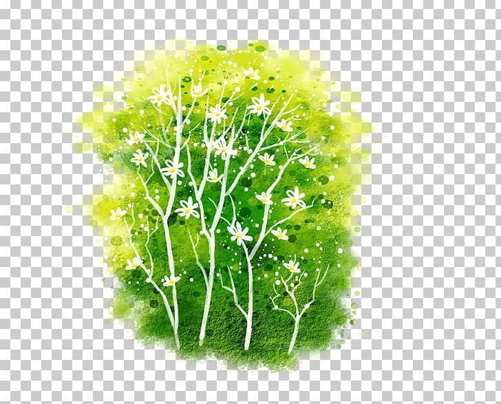 Grass PNG, Clipart, Background Green, Computer Icons, Download, Flower, Flowers Free PNG Download