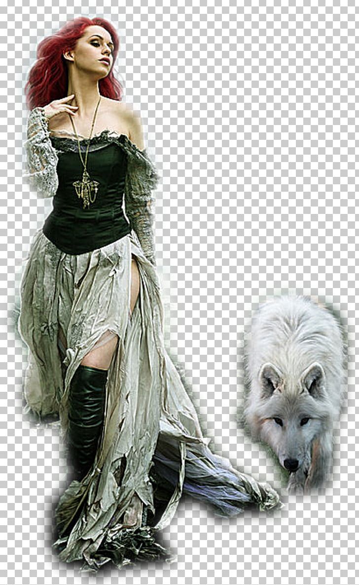 Gray Wolf Werewolf Fantasy Fantastic Art Costume PNG, Clipart, Art, Black Wolf, Costume, Costume Design, Fantastic Art Free PNG Download