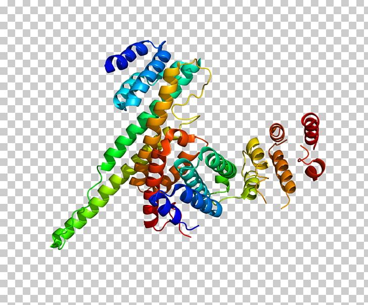 Nucleoporin 107 Nuclear Pore Protein Nucleoporin 214 PNG, Clipart, Body Jewelry, Cell Nucleus, Cqc, Cytoplasm, Gene Free PNG Download