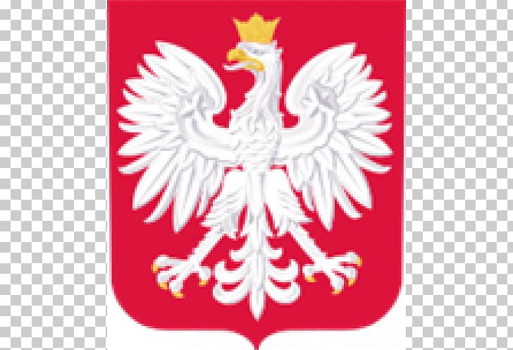 Coat Of Arms Of Poland Dream League Soccer Logo 2018 World Cup PNG, Clipart, 2018 World Cup, Beak, Bird, Chicken, Coat Of Arms Of Poland Free PNG Download