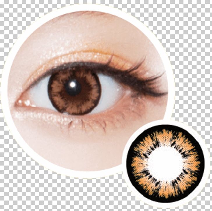 Contact Lenses Cat Circle Contact Lens Cosmetics PNG, Clipart, Animals, Blue, Brown, Cat, Circle Contact Lens Free PNG Download