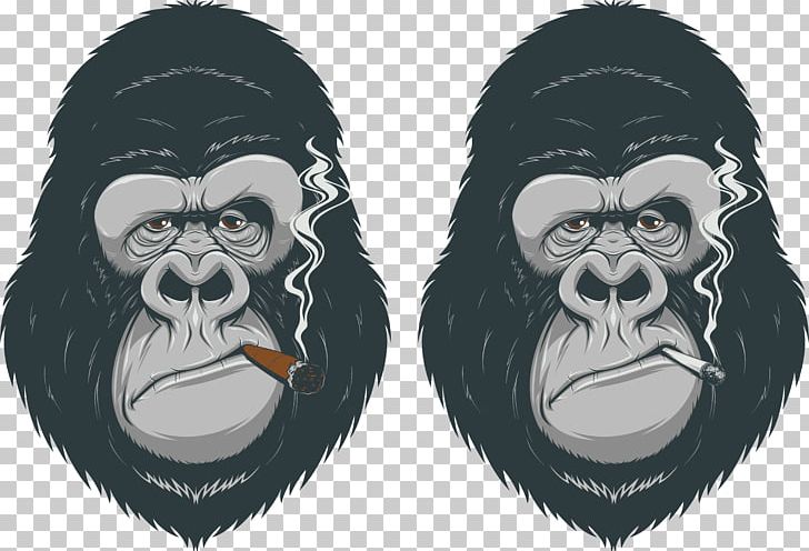 Gorilla Primate Chimpanzee Ape PNG, Clipart, Animals, Ape, Art, Cartoon, Chimpanzee Free PNG Download