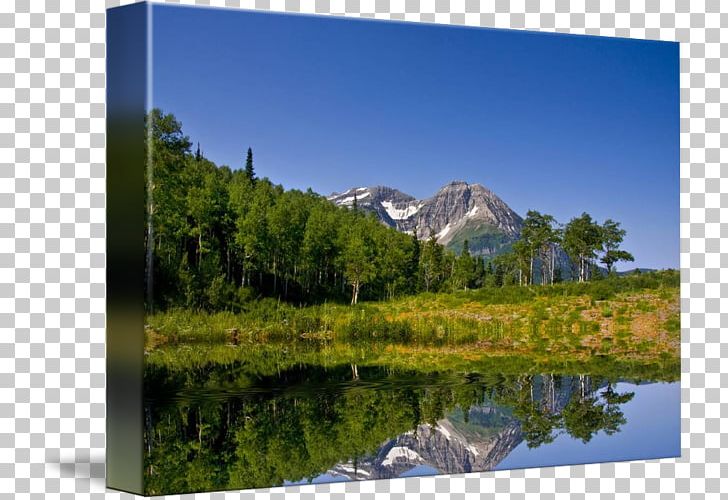 Mount Scenery Nature Reserve Water Resources Wilderness Pond PNG, Clipart, Biome, Ecosystem, Hill Station, Inlet, Lake Free PNG Download