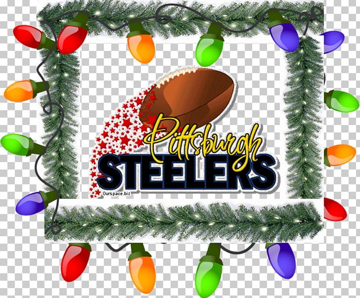 Pittsburgh Steelers Steeler Nation